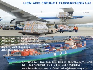 danh sach cac mat hang cam nhap khau vao Viet Nam